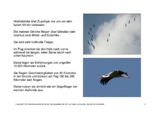 Fehlerlesen-Weißstorch-Lesetext-4.pdf